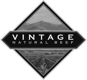 VINTAGE NATURAL BEEF logo