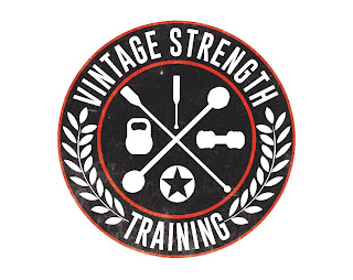 VINTAGE STRENGTH TRAINING logo
