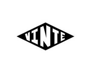 VINTE logo