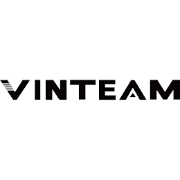 VINTEAM logo
