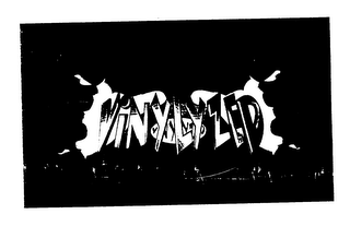 VINYLYZED logo