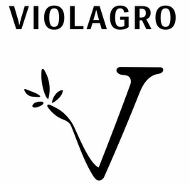 VIOLAGRO V logo