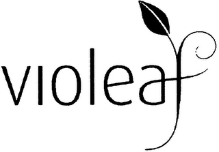 VIOLEAF logo