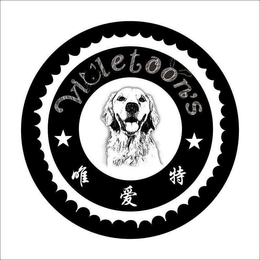 VIOLETOON'S logo