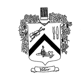 VIOLINO logo