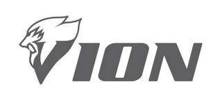 VION logo