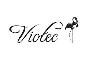 VIOTEC logo