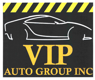 VIP AUTO GROUP INC logo
