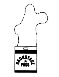 V.I.P. BACKSTAGE PASS logo