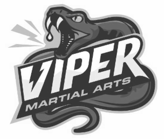 VIPER MARTIAL ARTS logo