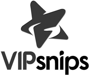 VIPSNIPS logo