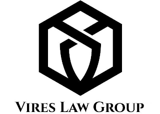 VIRES LAW GROUP logo
