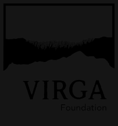 VIRGA FOUNDATION logo