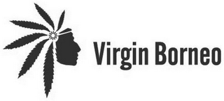 VIRGIN BORNEO logo