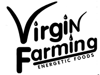 VIRGIN FARMING ENERGETIC FOODS logo
