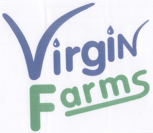 VIRGIN FOODS logo