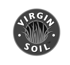 VIRGIN SOIL logo