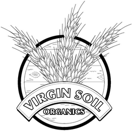 VIRGIN SOIL ORGANICS logo