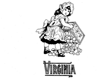 VIRGINIA logo