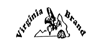 VIRGINIA BRAND logo