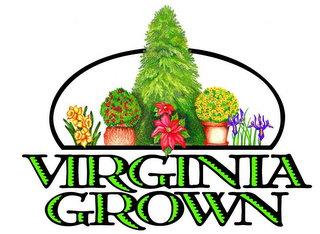 VIRGINIA GROWN logo