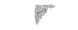 VIRGINIA'S logo
