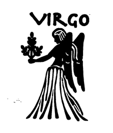 VIRGO logo