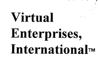VIRTUAL ENTERPRISES, INTERNATIONAL logo
