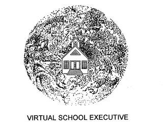 VIRTUAL SCHOOL EXECUTIVE logo