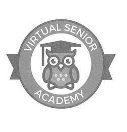 VIRTUAL SENIOR ACADEMY logo