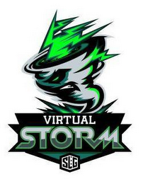 VIRTUAL STORM SLG logo
