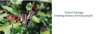 VIRTUAL SYNERGY CREATING BALANCE FOR BUSY PEOPLE logo