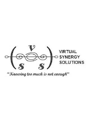 VIRTUAL SYNERGY SOLUTIONS V S S "KNOWING TOO MUCH IS NOT ENOUGH" logo
