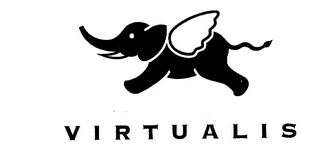 VIRTUALIS logo