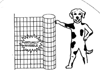 VIRTUALLY INVISIBLE logo