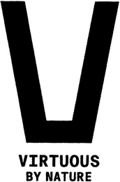 VIRTUOUS BY NATURE logo