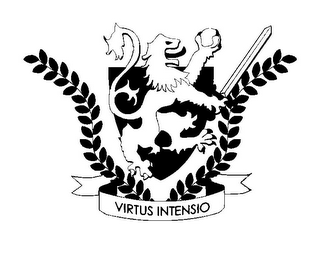 VIRTUS INTENSIO logo