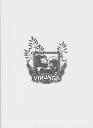 VIRUNGA logo