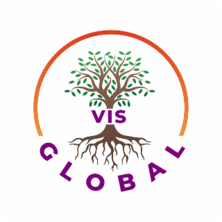VIS GLOBAL logo