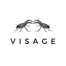VISAGE logo