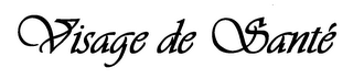 VISAGE DE SANTE logo