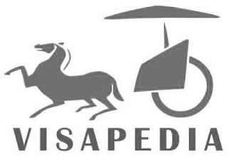 VISAPEDIA logo