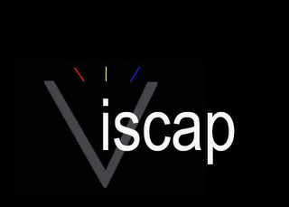 VISCAP logo
