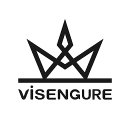 VISENGURE logo
