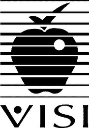 VISI logo