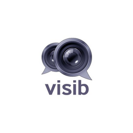 VISIB logo