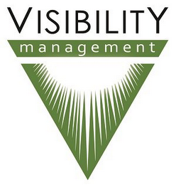 VISIBILITY MANAGEMENT logo
