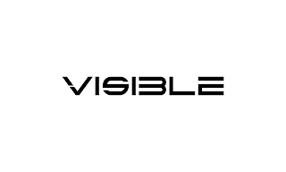 VISIBLE logo