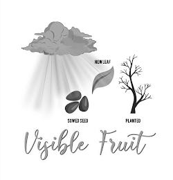 VISIBLE FRUIT NEW LEAF SOWED SEED PLANTED logo