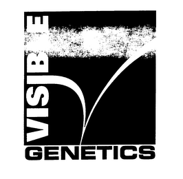 VISIBLE GENETICS logo